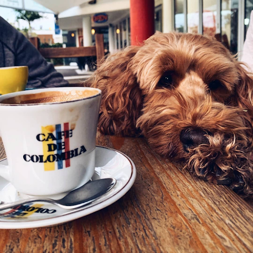 Comentarii opinii despre The Colombian Coffee Co. (Cafe)