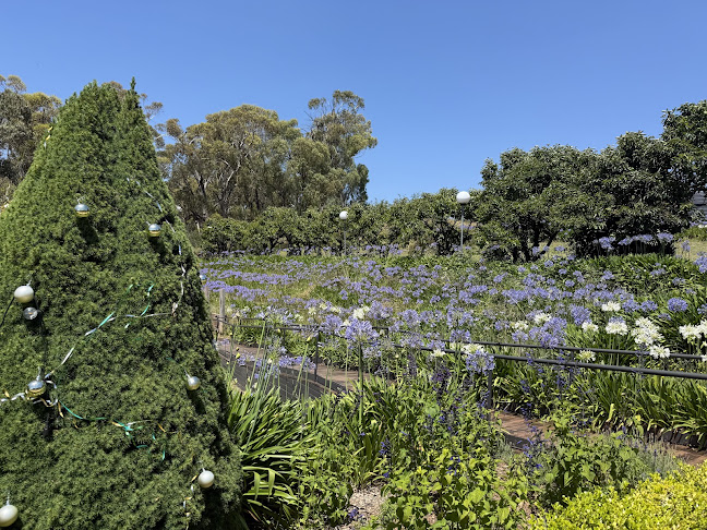 Borrodell Vineyard, Cellar Door & Wedding Venue