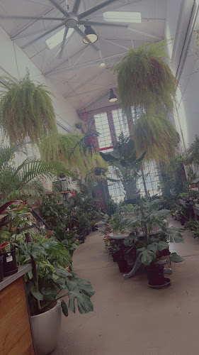 Comentarii opinii despre The Green House Ballarat