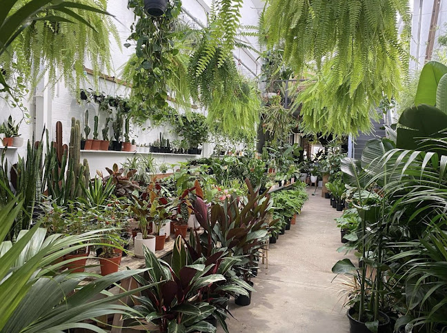 5C/20 Elizabeth St, Delacombe VIC 3356