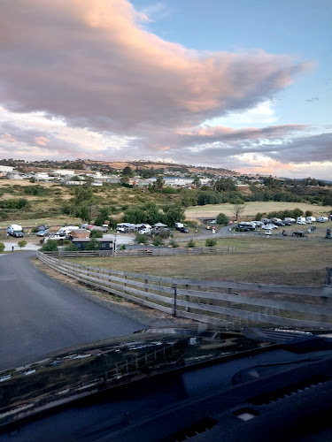 Opinii despre Apricus Launceston în Norwood - Hospitality and gastronomy