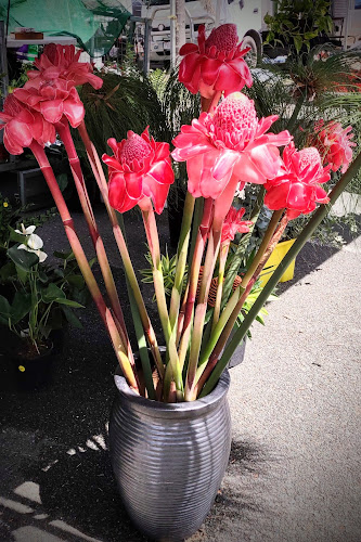 Kawana Waters Farmers Markets