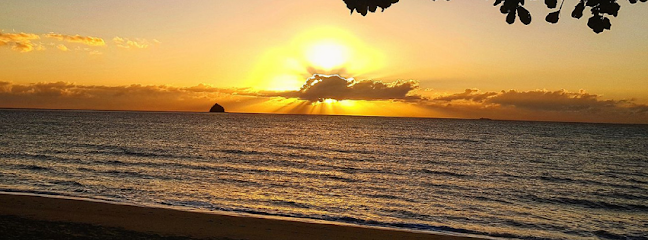 Coffee Haven & FLIP'T - Palm Cove