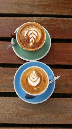 Comentarii opinii despre Blackcat Fitzroy