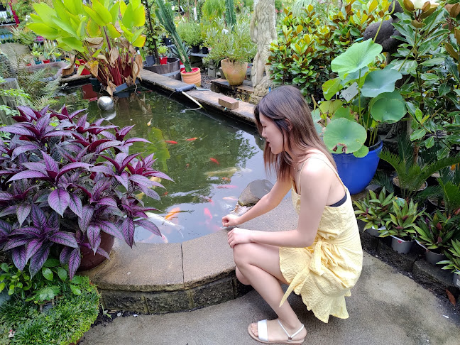 Comentarii opinii despre Wyee Nursery Cafe