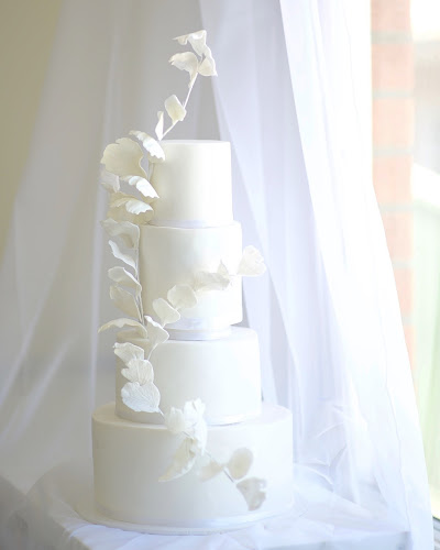 Comentarii opinii despre Treatz