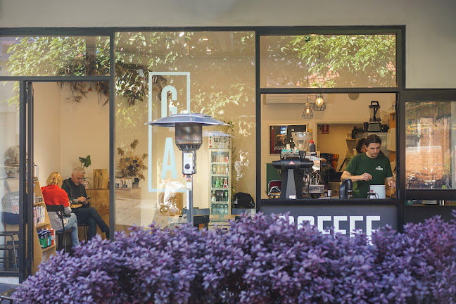 dear Delta - Wollongong