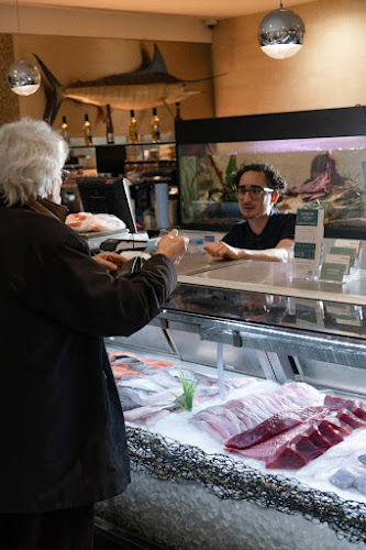 Comentarii opinii despre Richmond Oysters