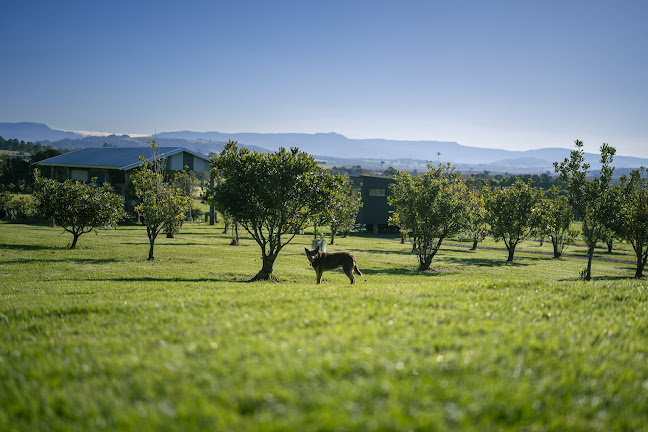Mountain Ridge Wines Restaurant & Cellar Door - Hospitality and gastronomy