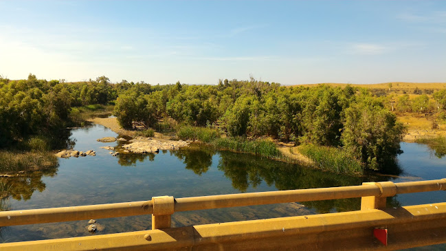 Comentarii opinii despre Burger Bus WA