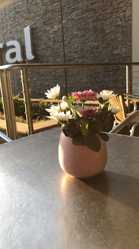 Peeches Coffee Lounge - Griffith