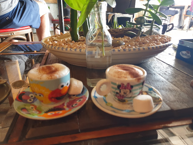 Vandys Cafe - Hospitality and gastronomy