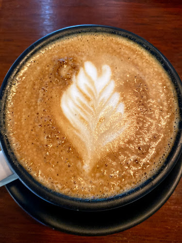 Little Fern on Regent - Redfern