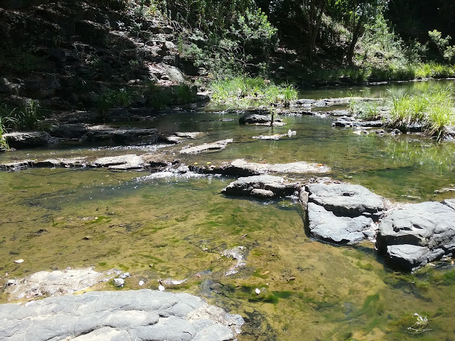 5329 Kyogle Rd, Cawongla NSW 2474