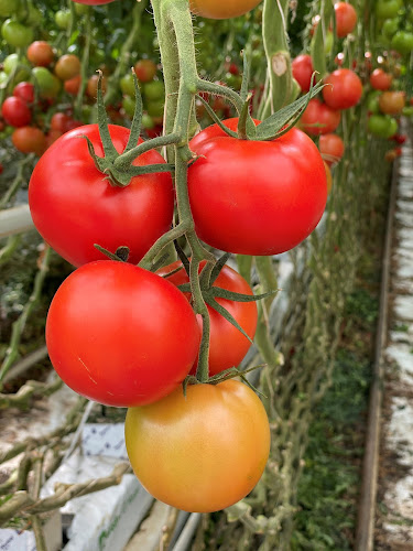 Flavorite Group - Warragul