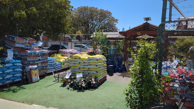 905 Beaufort St, Inglewood WA 6052