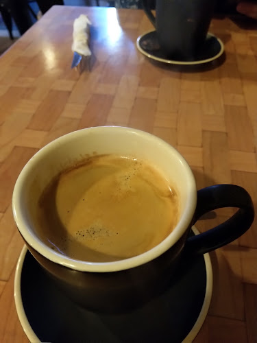 Hudsons of Dickson - Dickson