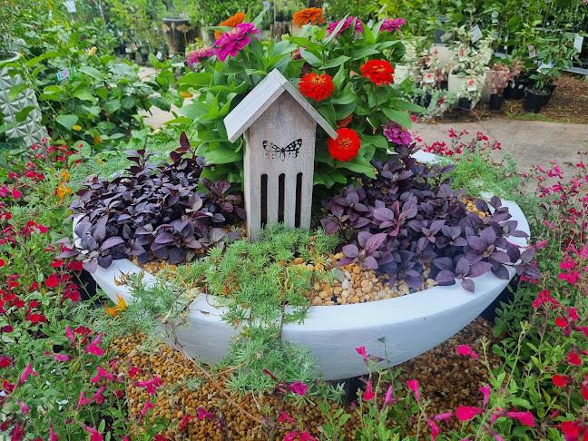 Opinii despre Wyee Nursery Cafe în Sydney - Hospitality and gastronomy