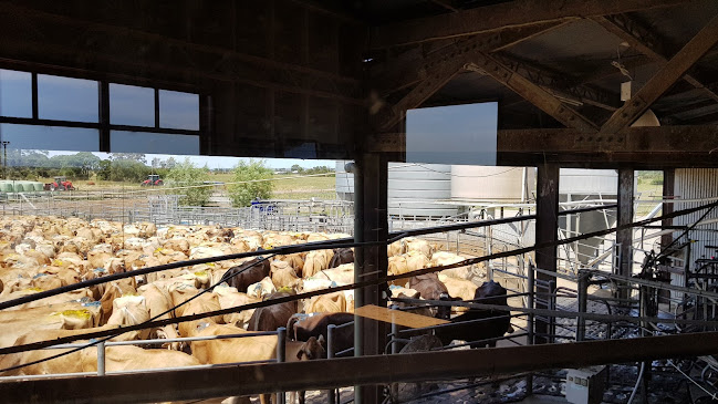 Caldermeade Farm & Cafe - Hospitality and gastronomy