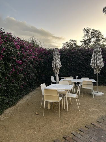 Comentarii opinii despre Cheeky Dog