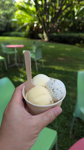 Opinii despre Daintree Ice Cream Company în Brisbane - Hospitality and gastronomy