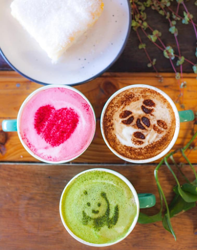 Nagev 100% Plant Based Food Catering and Events