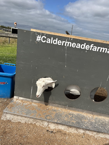 Caldermeade Farm & Cafe - Hospitality and gastronomy