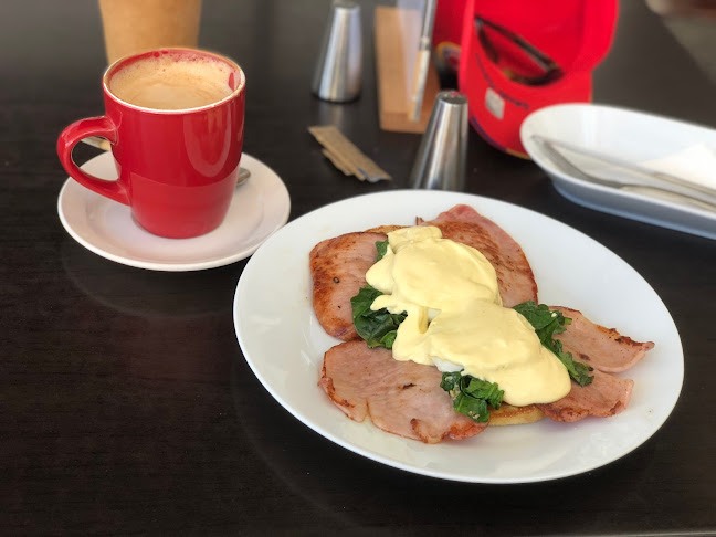 The Y Cafe - Hospitality and gastronomy