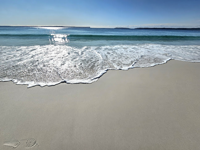 Cooked Goose on Hyams - Hospitality and gastronomy