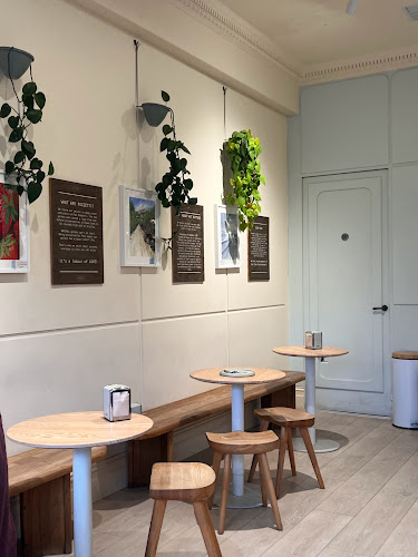 Bottega Gelateria - Hospitality and gastronomy