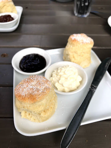 Comentarii opinii despre Shady Oaks Cafe