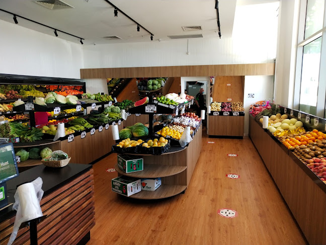 BerryHunt fresh produce - Hospitality and gastronomy