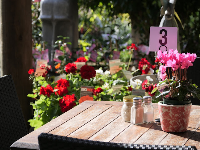 103 Wyee Rd, Wyee NSW 2259