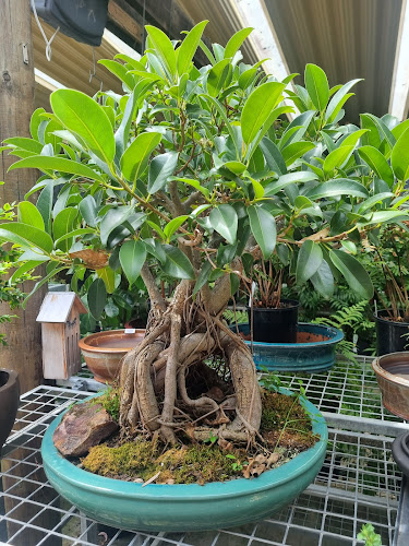 Wyee Nursery Cafe - Sydney