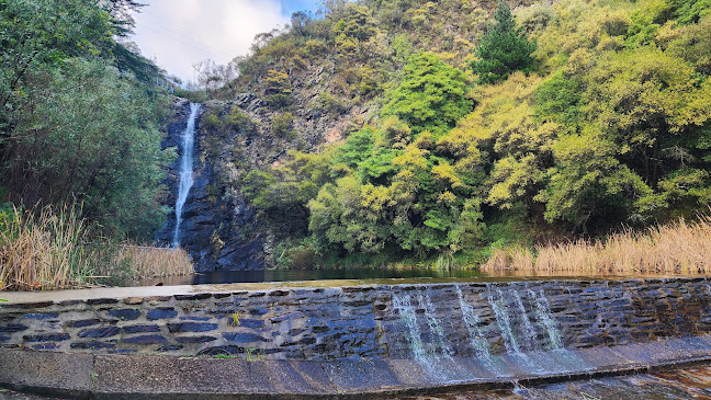 Utopia @ Waterfall Gully - Hospitality and gastronomy