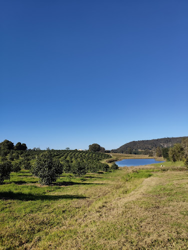 Mountain Top Coffee - Sydney
