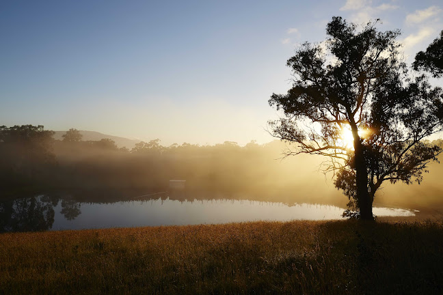 Comentarii opinii despre Yarra Valley Cherries