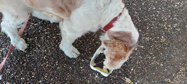 Comentarii opinii despre Batehaven Bakehouse