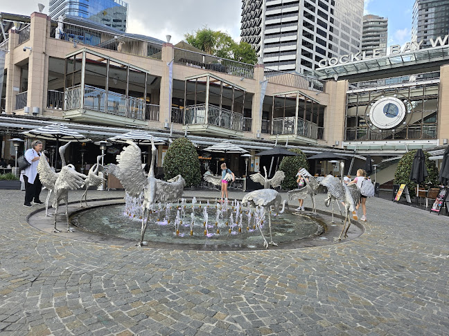 Blackbird Cafe - Sydney