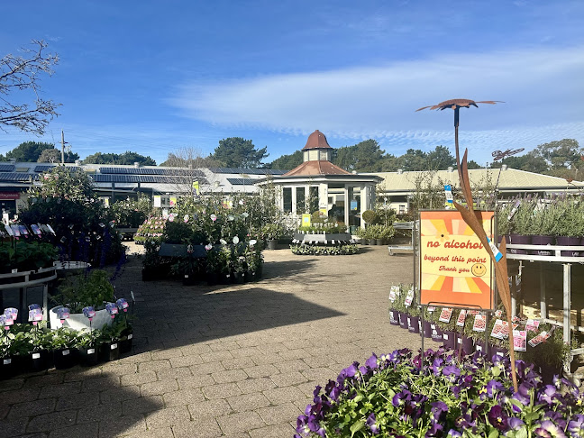 Van Loon’s Cafe - Hospitality and gastronomy