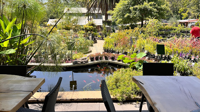 Wyee Nursery Cafe - Hospitality and gastronomy