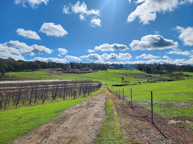 Comentarii opinii despre Raeburn Orchards