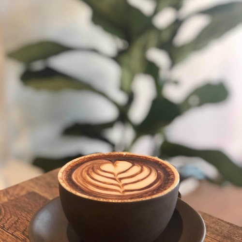 Papercup Coffee Southport - Hospitality and gastronomy