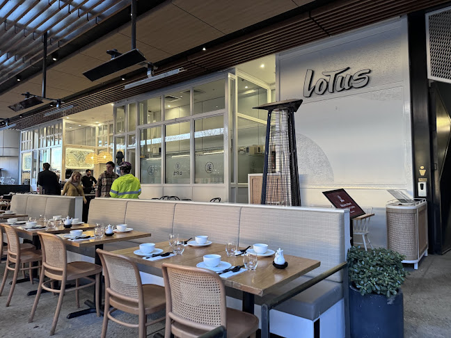 Lotus Barangaroo - Hospitality and gastronomy