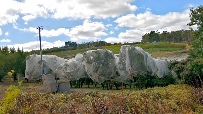 Opinii despre Spring Hill Orchard în Perth - Hospitality and gastronomy