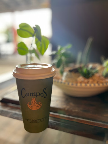 Vandys Cafe - Hospitality and gastronomy