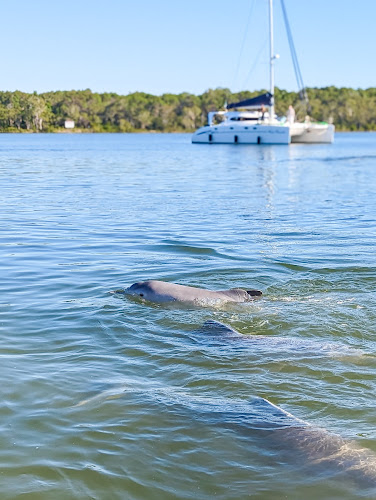 Comentarii opinii despre Barnacles