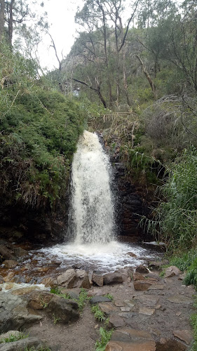 Comentarii opinii despre Utopia @ Waterfall Gully