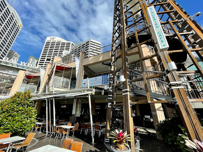 Blackbird Cafe - Hospitality and gastronomy