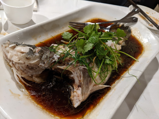 Opinii despre Star House Chinese Restaurant în Adelaide - Hospitality and gastronomy